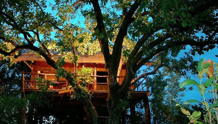 Tree House Hideaway Resort Bandhavgarh