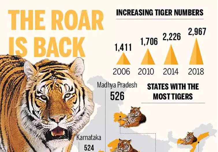 MP-tops-country-with-526-tigers-as-per-All-India-Tiger-Estimation-2018