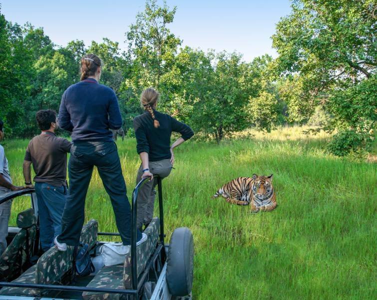 Safari in Bandhavgarh National Park