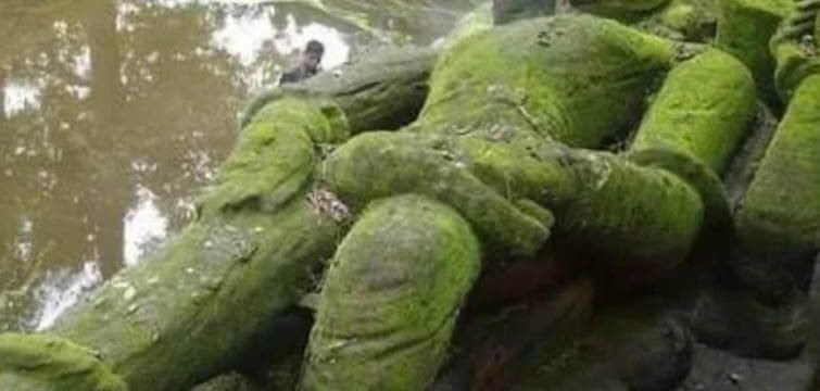 Ancient Vishnu Sculpture at Bandhavgarh National Park