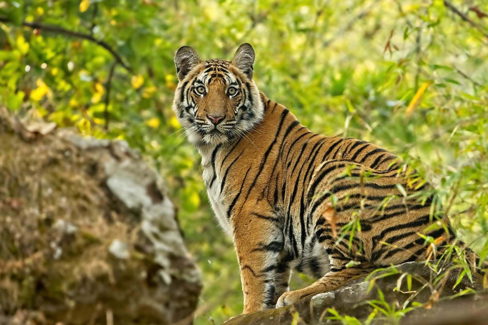 Sundarban Adventure Expedition