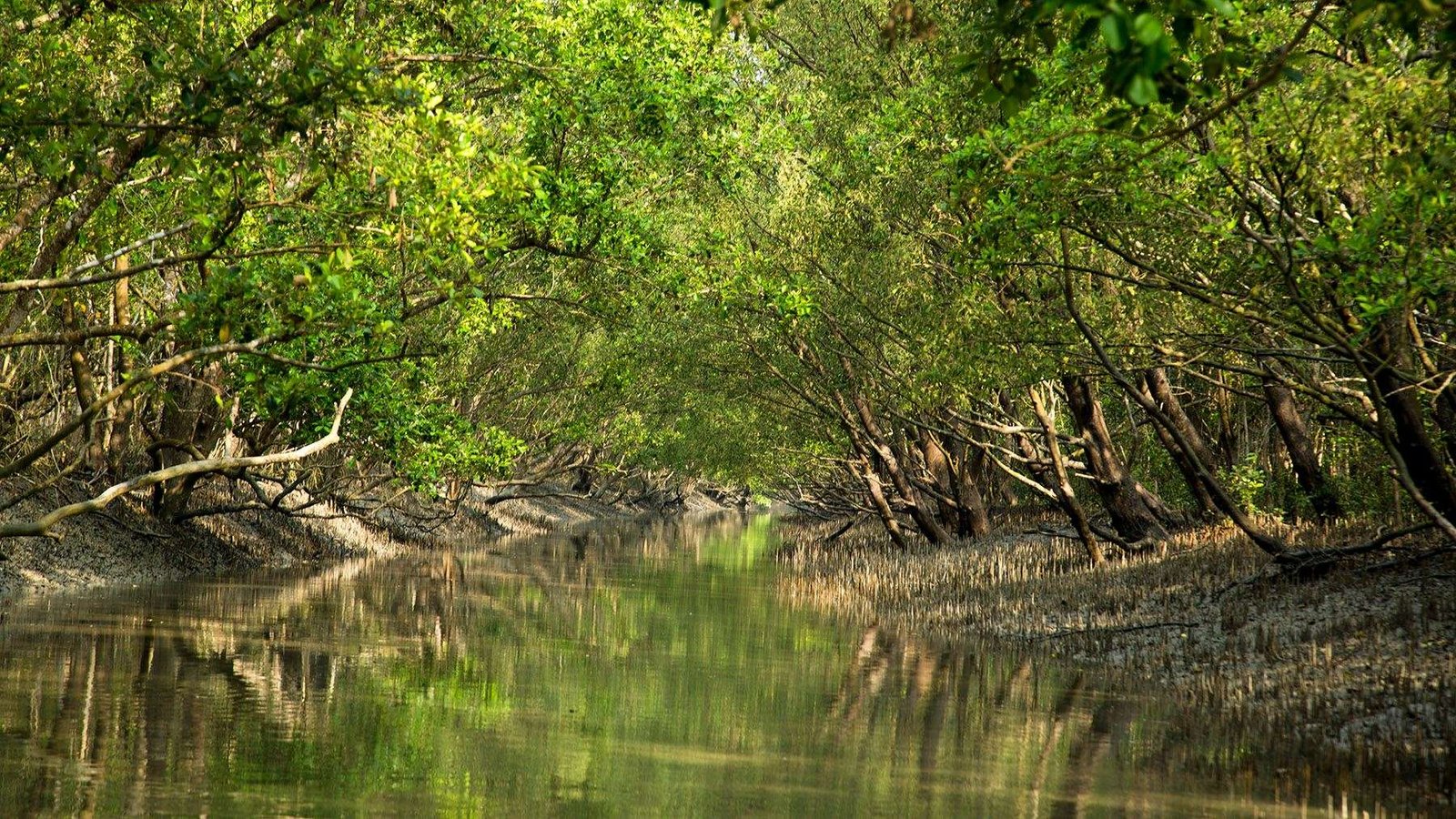 Panna National Park